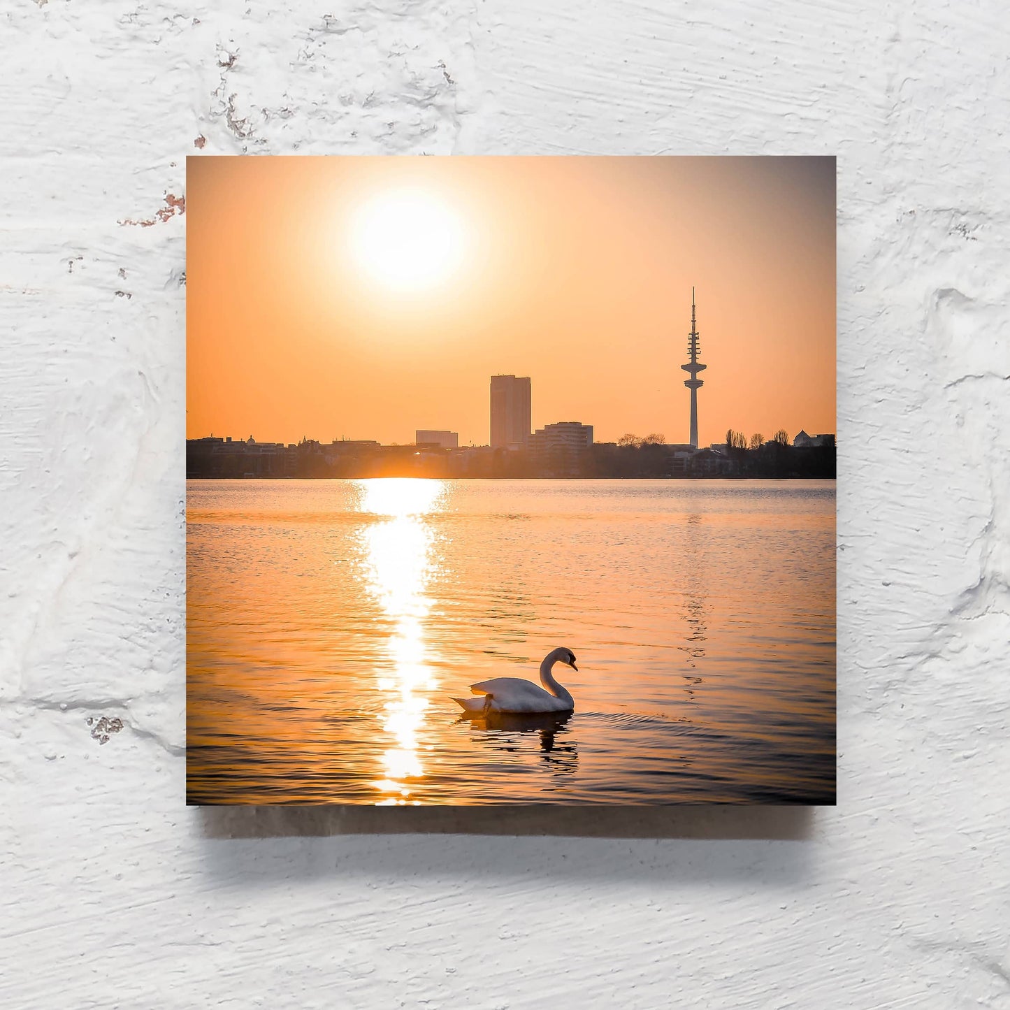 Hamburg auf Holz - Alsterschwan