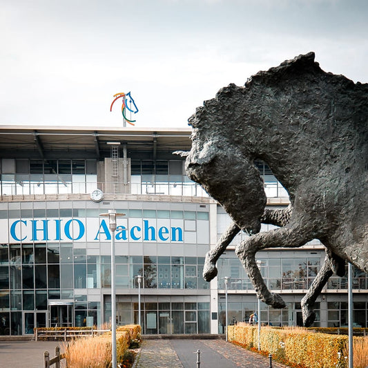 Aachen auf Holz – AA-21
