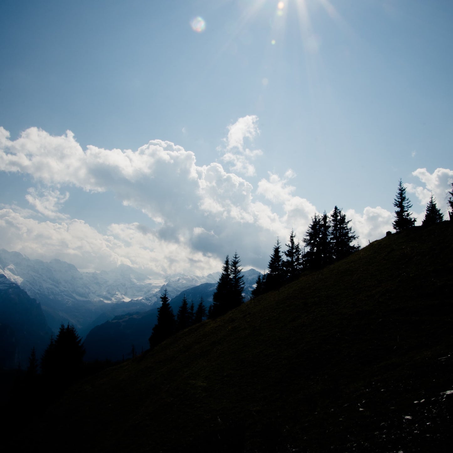 Berner Oberland auf Holz – BO-010