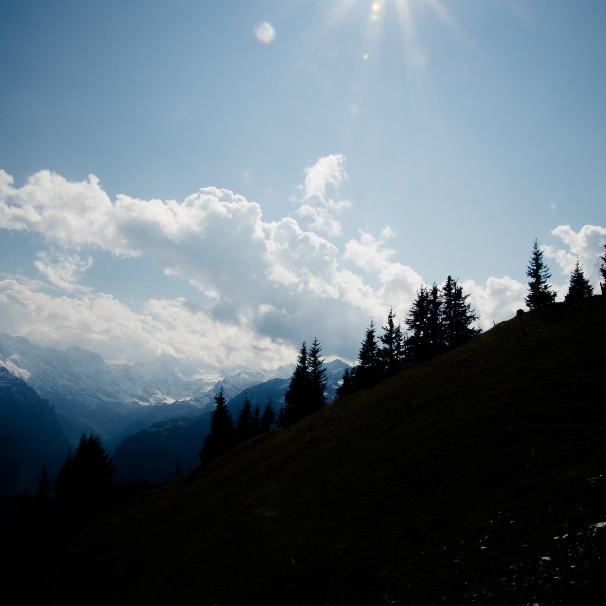 Berner Oberland auf Holz – BO-010