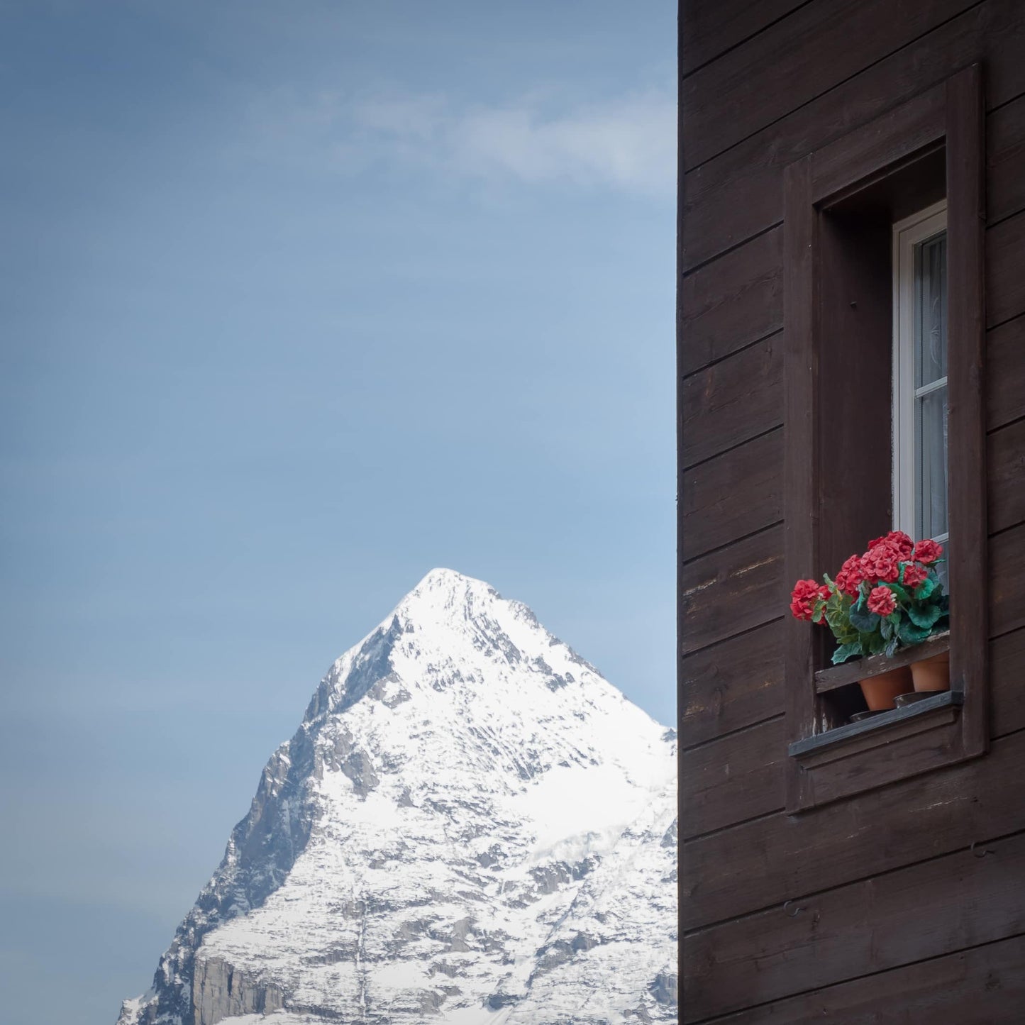 Berner Oberland auf Holz – BO-016