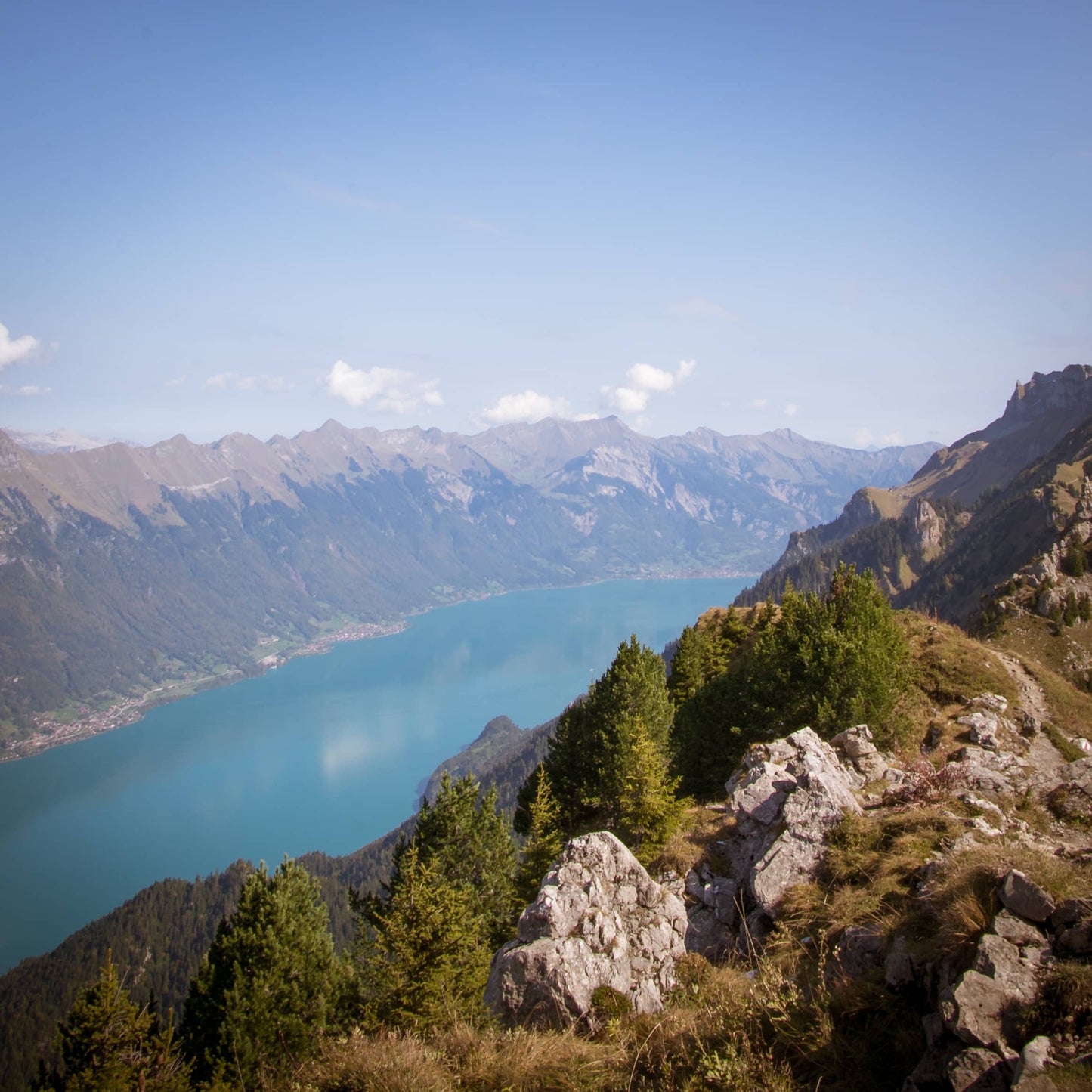 Berner Oberland auf Holz – BO-160
