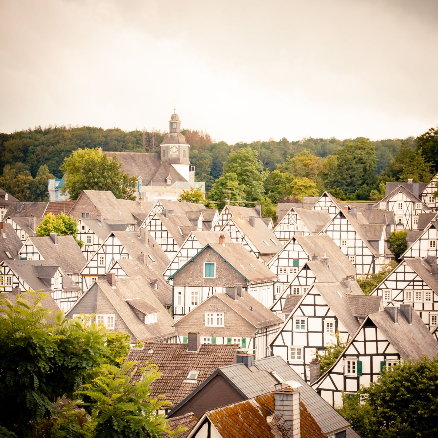 FREUDENBERG auf Holz - Panorama Alter Flecken
