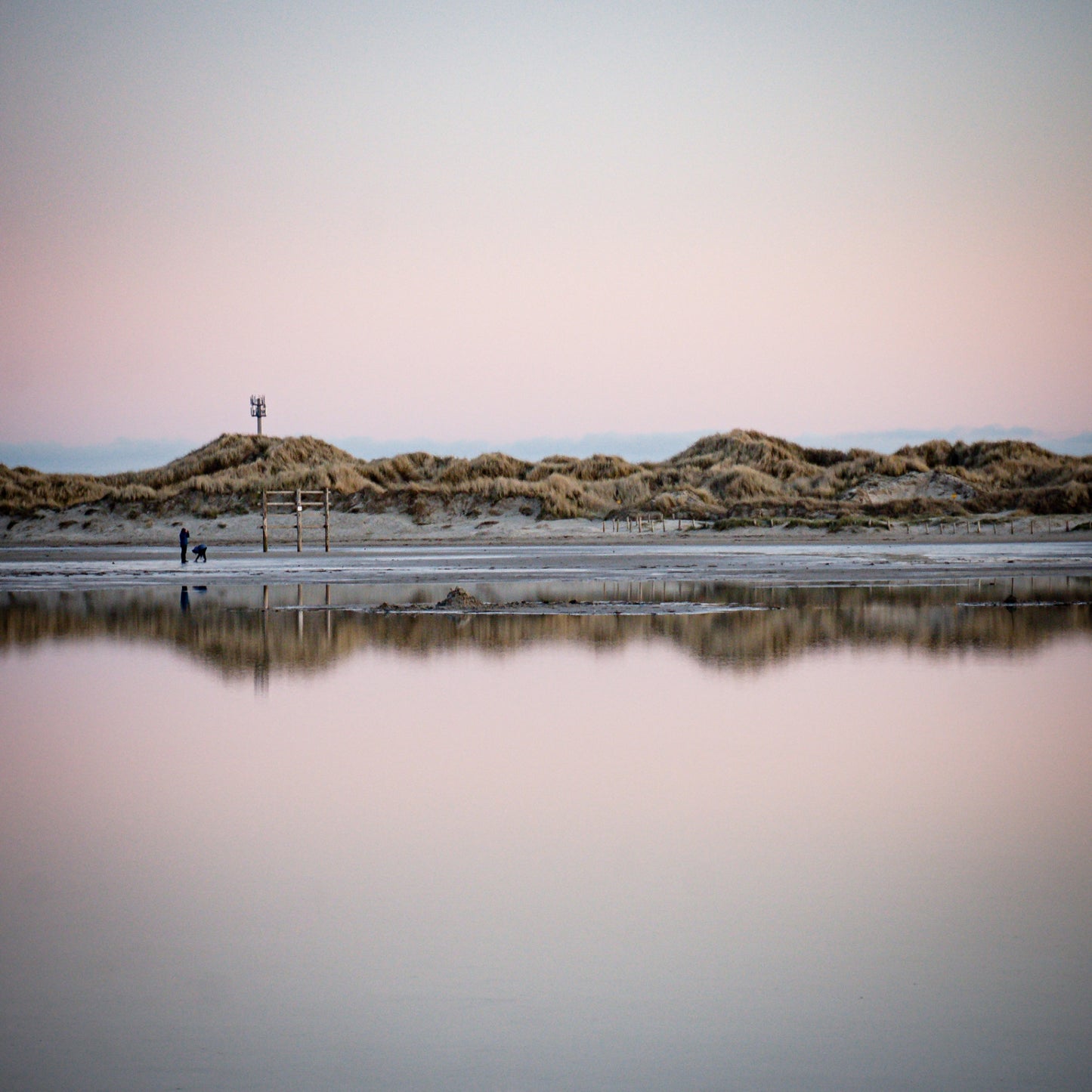 Dünen mit Spiegelung in Rosa
