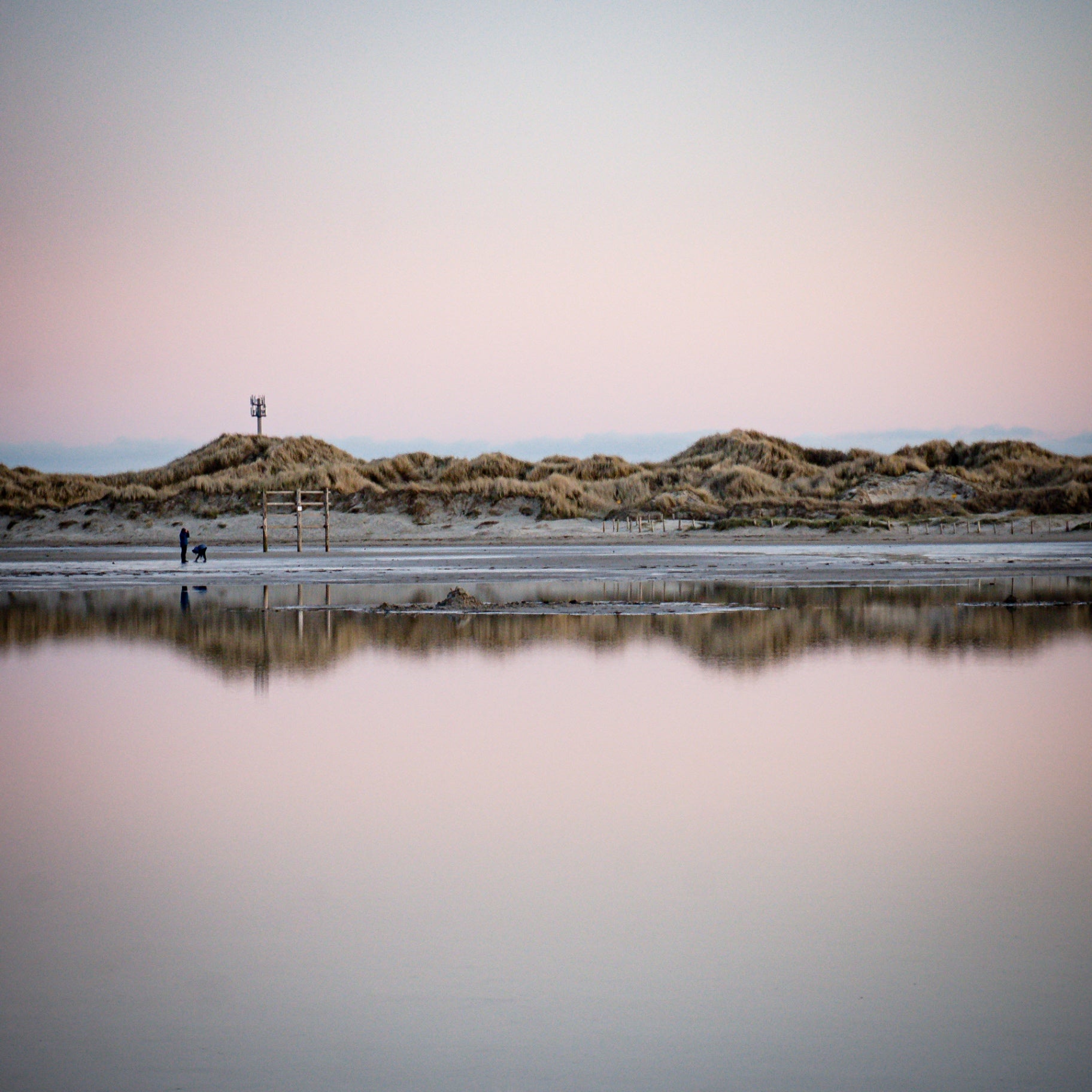 Dünen mit Spiegelung in Rosa