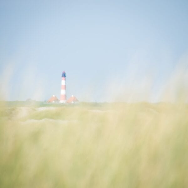 St. Peter-Ording auf Holz – SPO-23