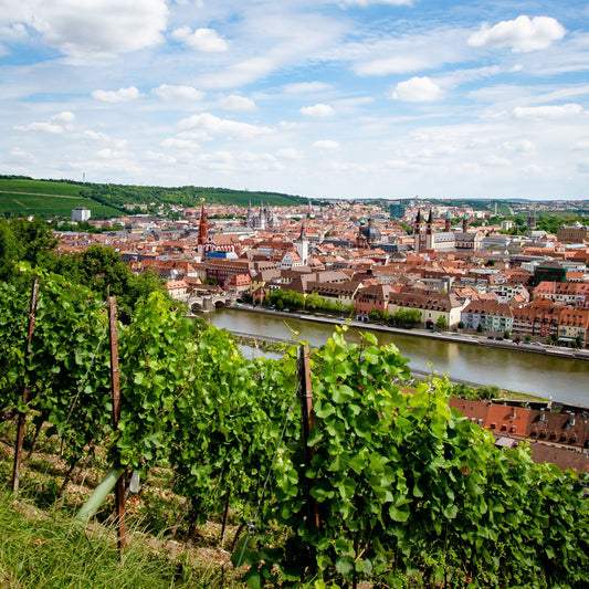 Würzburg auf Holz – WÜ-024