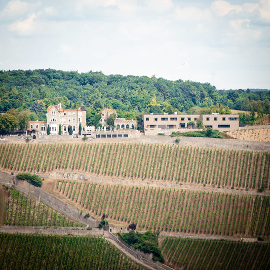 Würzburg auf Holz – WÜ-080