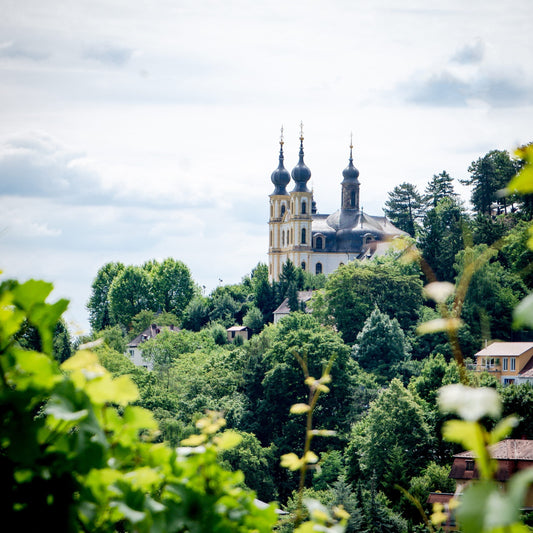 Würzburg auf Holz – WÜ-085