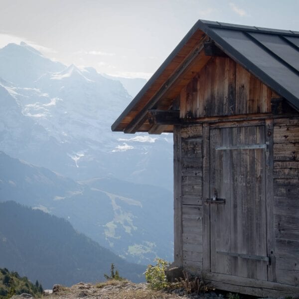 Berner Oberland auf Holz – BO-004