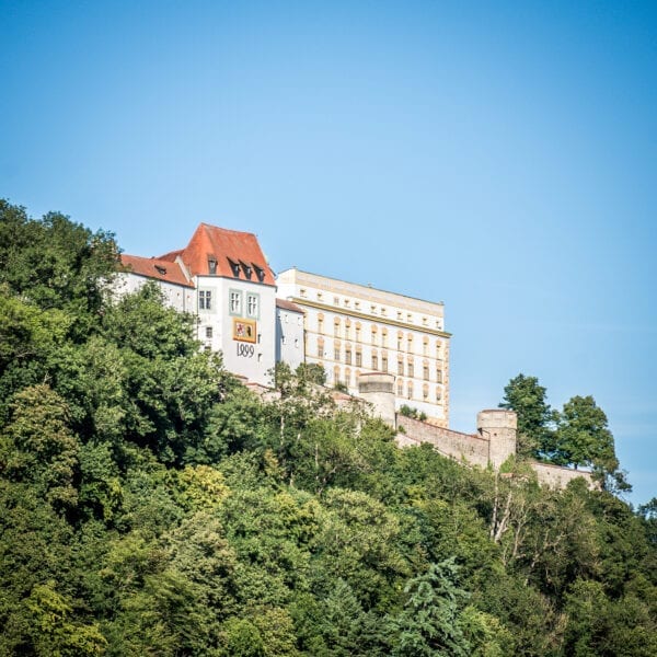 Passau auf Holz