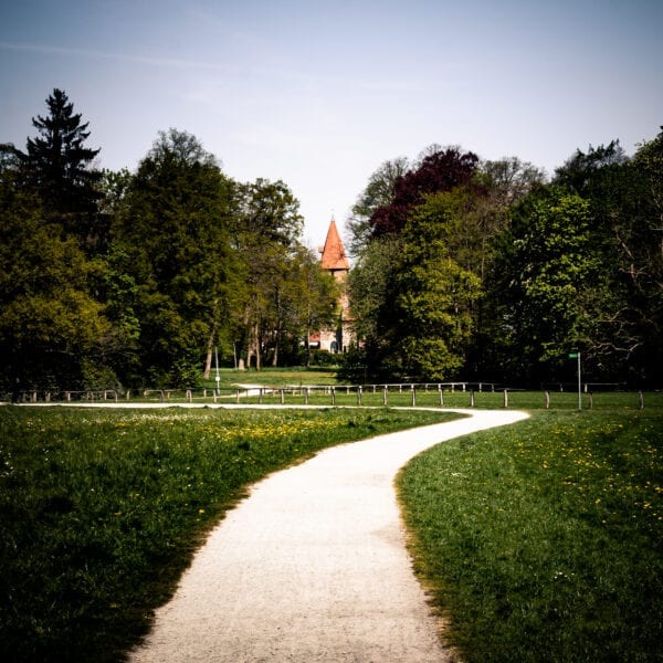 Rastede auf Holz
