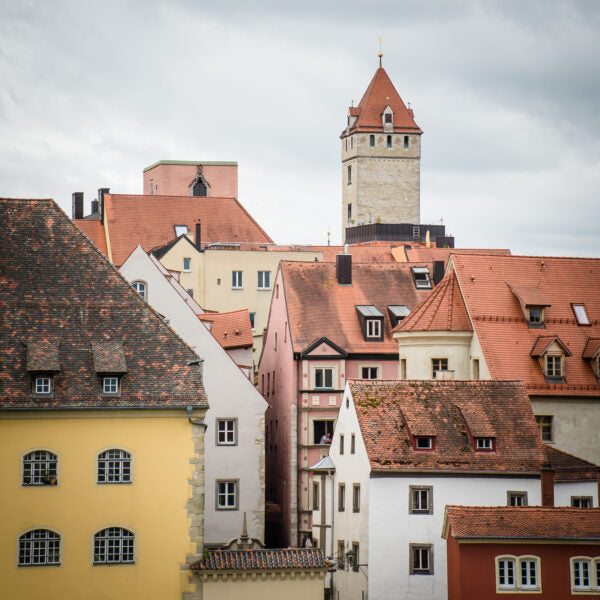 Regensburg auf Holz