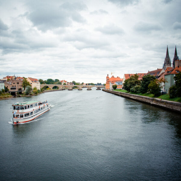 Regensburg auf Holz